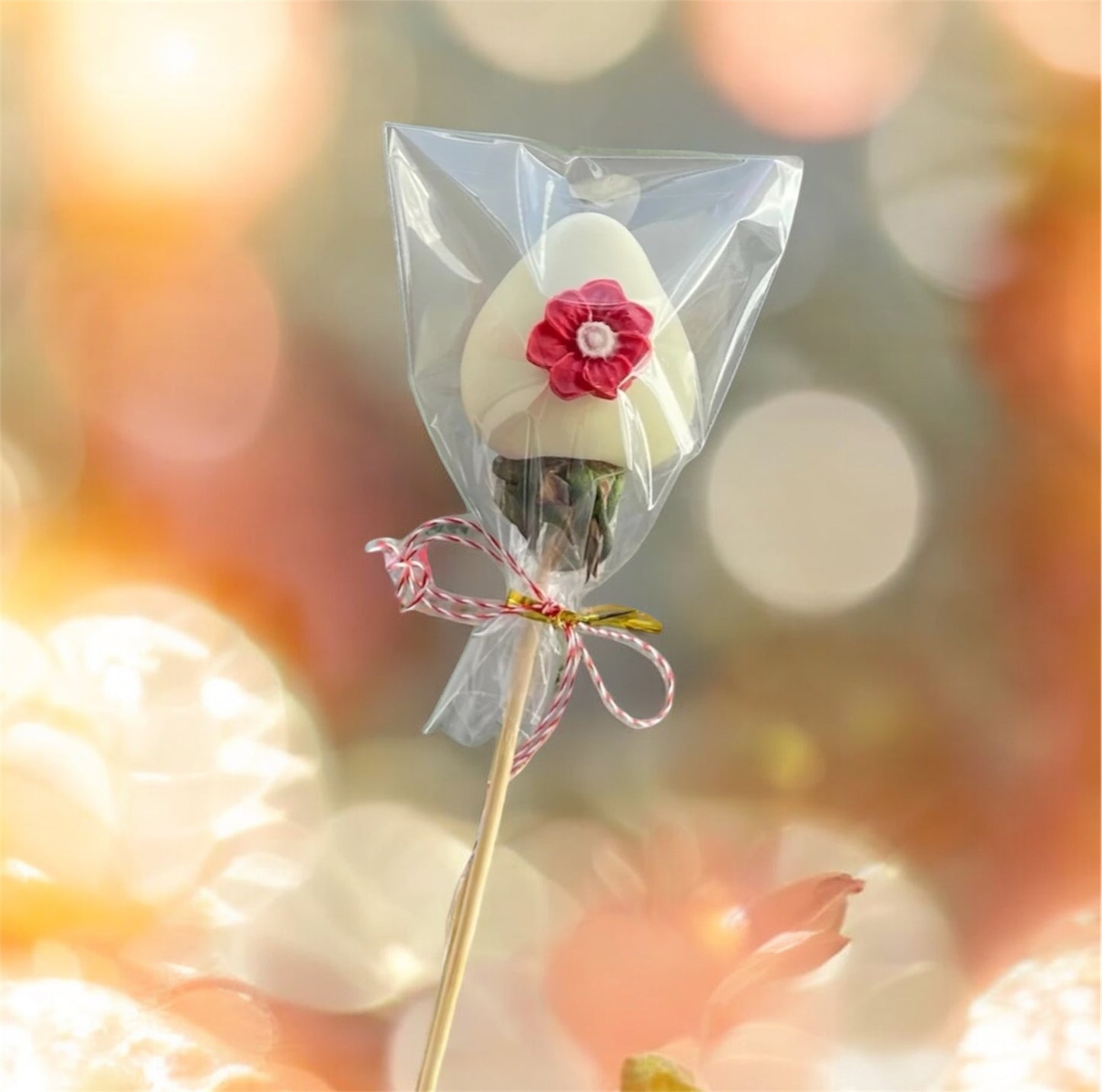 Capsuna proaspata invelita in ciocolata belgiana Callebaut