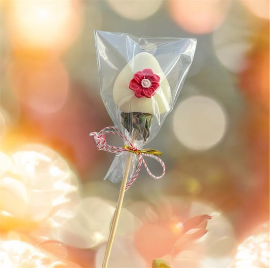 Capsuna proaspata invelita in ciocolata belgiana Callebaut